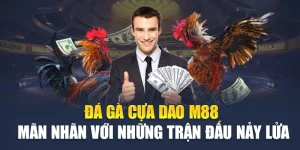 Đá Gà Cựa Dao M88 - Mãn Nhãn Với Những Trận Đấu Nảy Lửa